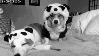 �����-����� ���